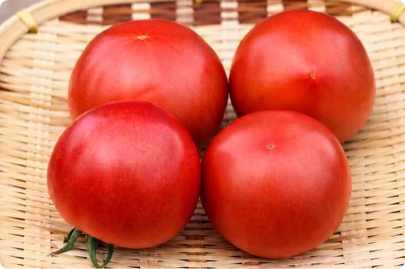 かごに盛られた完熟トマト